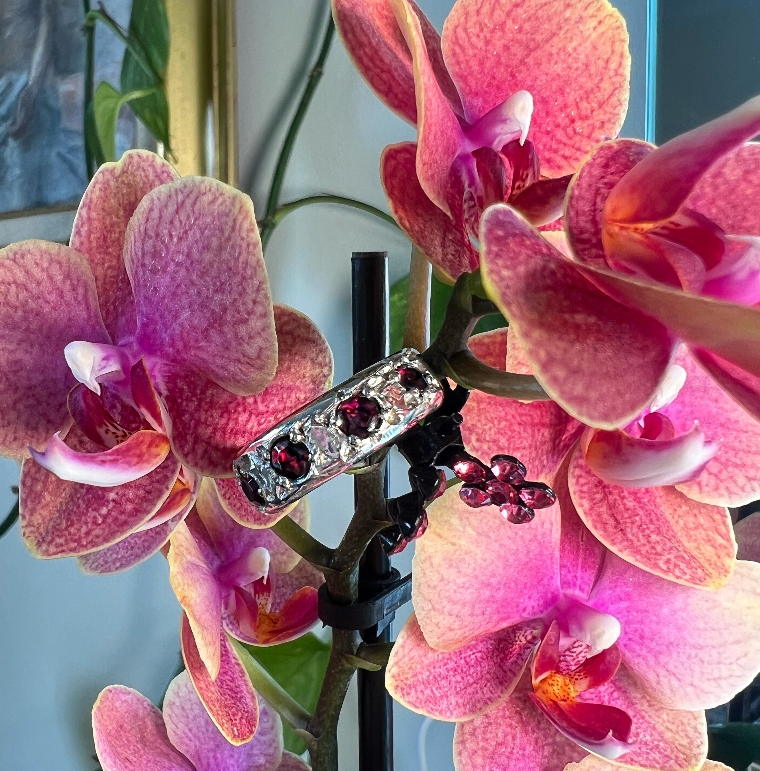 The Morticia band image 0