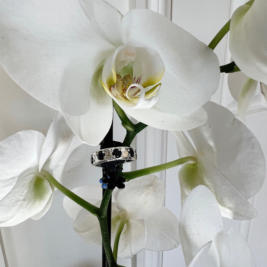 Sapphire Band  image 1