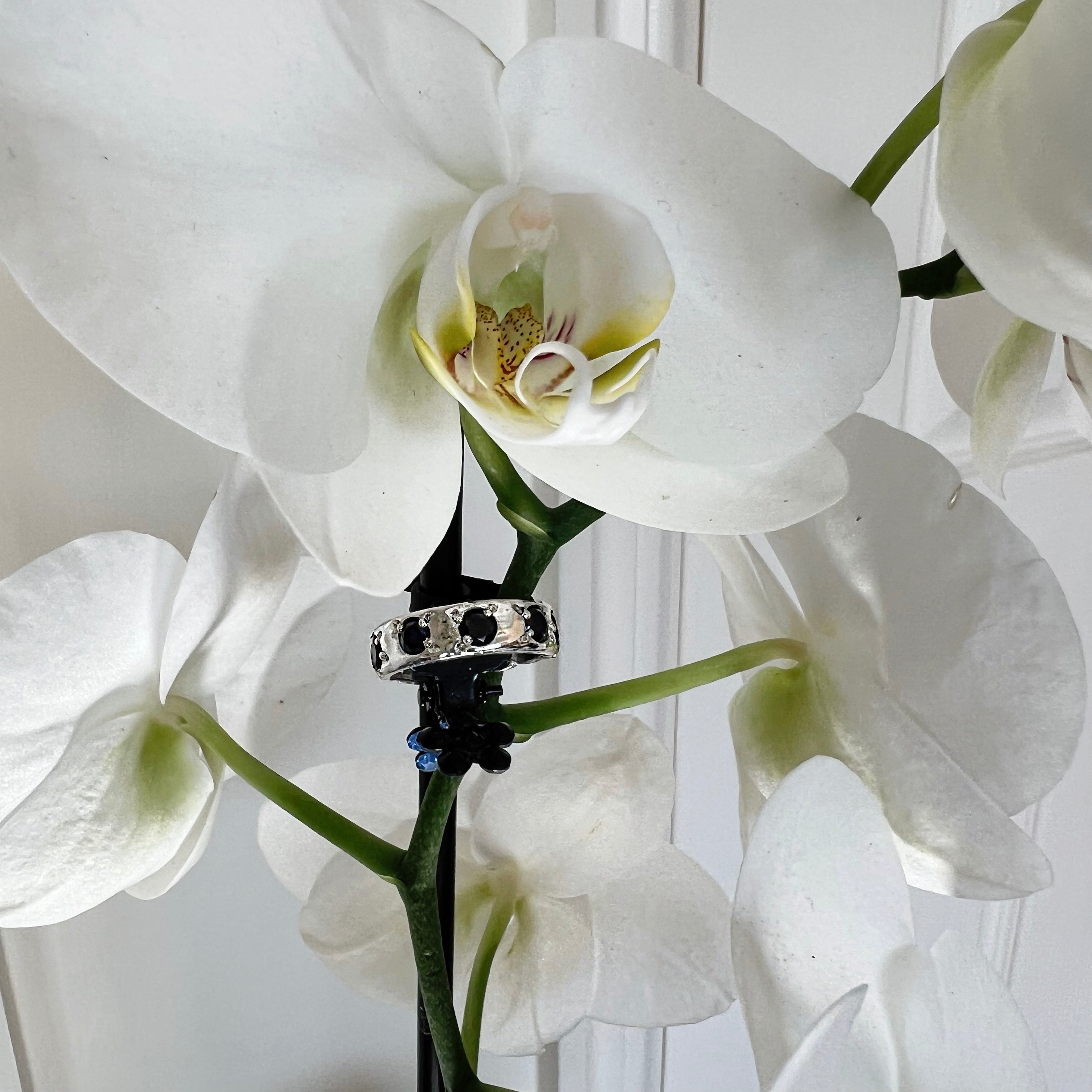 Sapphire Band  image 1